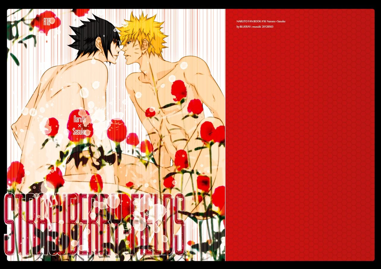 blueray-musubi-strawberry-fields-naruto-digital