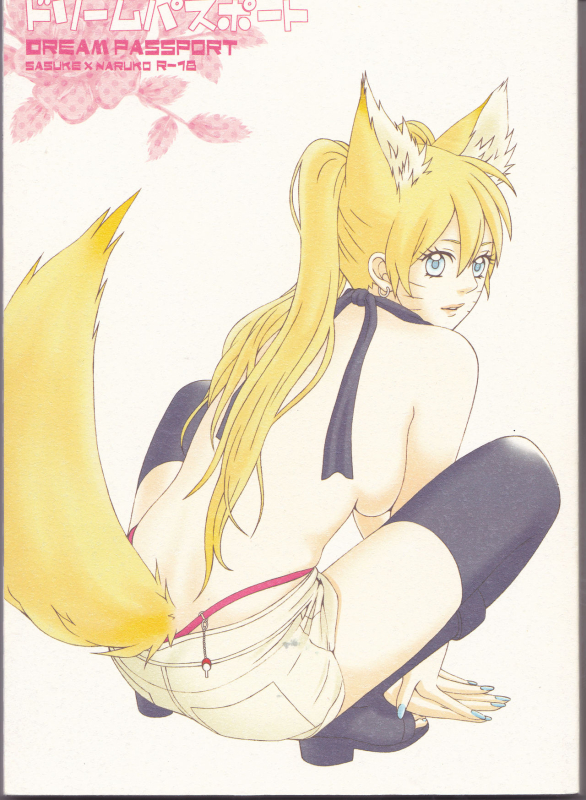 (C75) [Pierre (Garakuta Sochi)] Dream Passport (Naruto)_000
