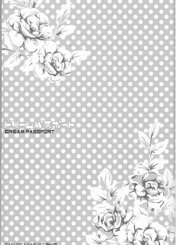 (C75) [Pierre (Garakuta Sochi)] Dream Passport (Naruto)_003