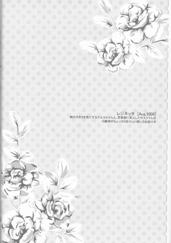 (C75) [Pierre (Garakuta Sochi)] Dream Passport (Naruto)_024