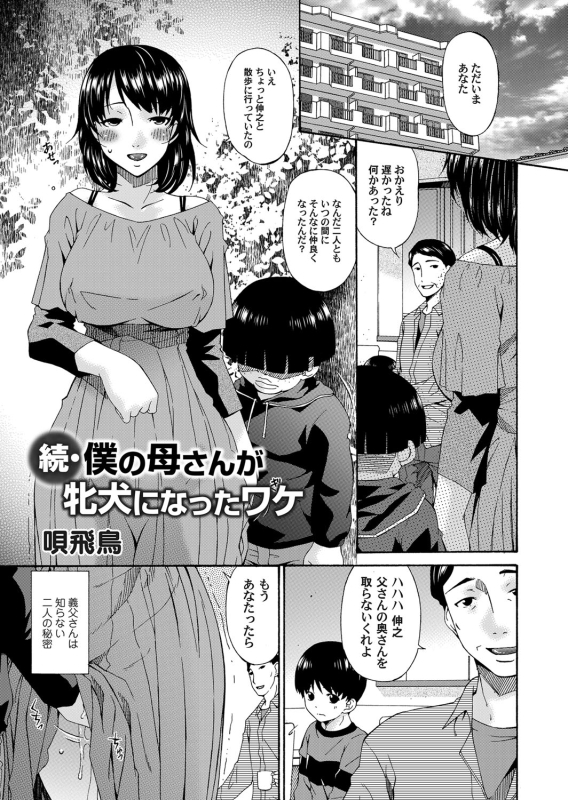 COMIC Magnum Vol. 72_041