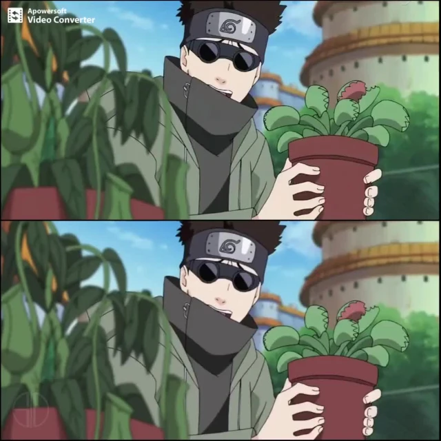 s10collageaburame shino+hyuuga hinata+hyuuga neji+rock lee369701094babfbe709c1251c84bac475
