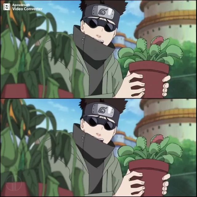 s10collageaburame shino+hyuuga hinata+hyuuga neji+rock lee369701094babfbe709c1251c84bac475