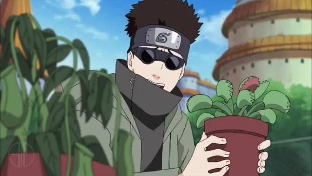 s10collageaburame shino+hyuuga hinata+hyuuga neji+rock leefb9e133569347a48fa4168b81a49e30f