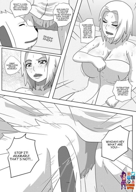 akamaru (naruto)+sakura haruno